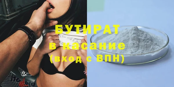 прущие грибы Каменногорск