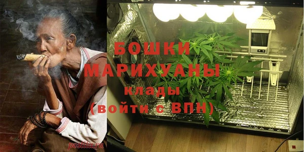mix Инта