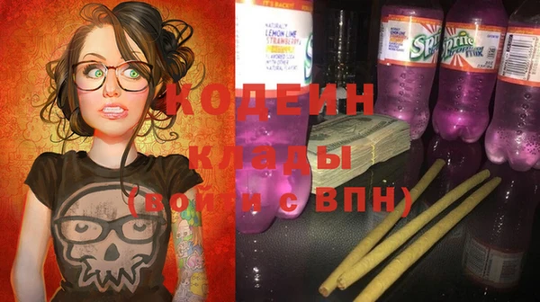 mix Инта
