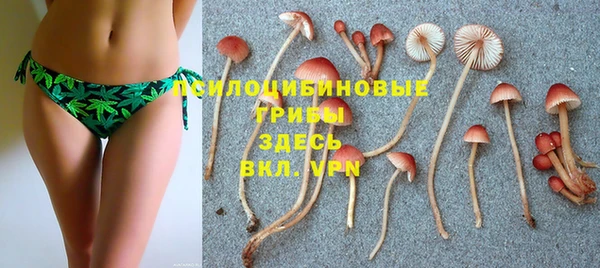 mix Инта