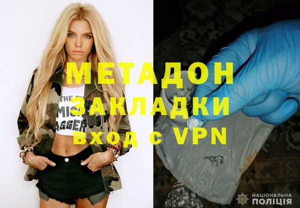 прущие грибы Каменногорск
