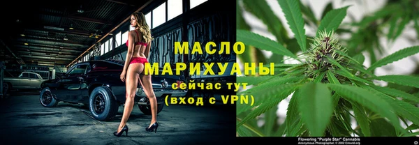 mix Инта