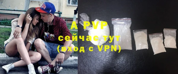 прущие грибы Каменногорск