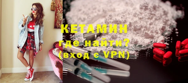 прущие грибы Каменногорск
